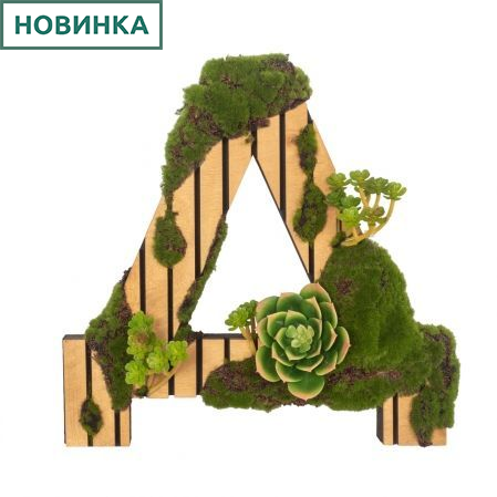 БУК Д02 Декоративная Буква "Д" со мхом 36х4хh36см