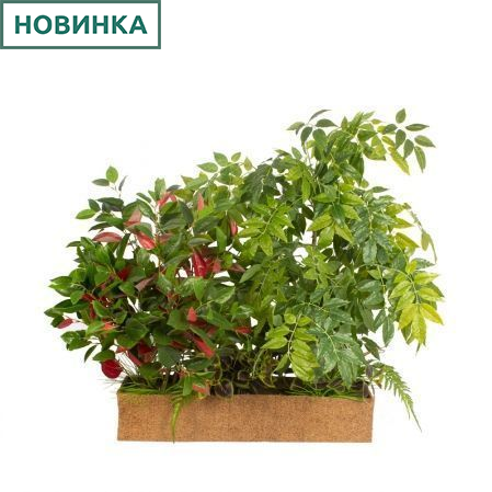 К406 Композиция искусственная Акация с фиттонией в кокосовом боксе 80х27хh15см