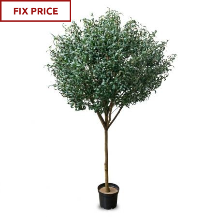 240/О/465(Fix) Оливковое дерево искусственное с плодами, h240см