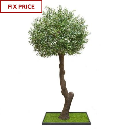 245разб/465(Fix) Оливковое дерево Премиум разборное h245см