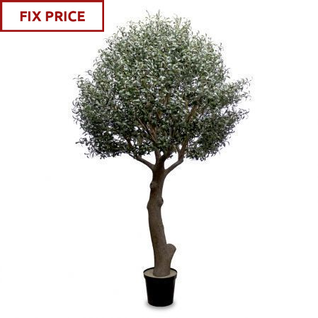 300разб/465(Fix) Оливковое дерево Премиум разборное h300см