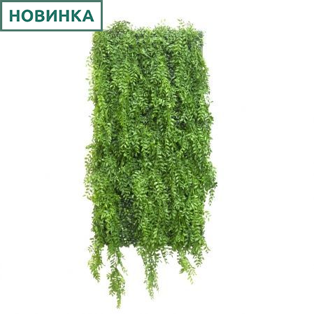 Фитостена 151