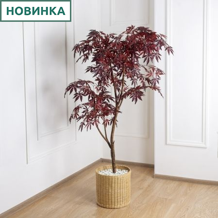 155/РН/400 Клен искусственный японский h155см, красный
