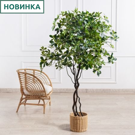 160/ВИТ/АСС/84(Пр)(F) Шеффлера искусственная h160см,латекс