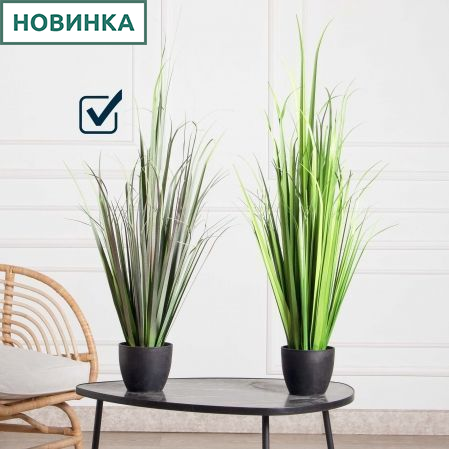 ЦС183-1(Пр)(F) Трава декоративная Формиум (пыльно-зеленая) h90см в кашпо