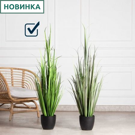 ЦС184(Пр)(F) Трава декоративная Формиум (зеленая) h120см в кашпо