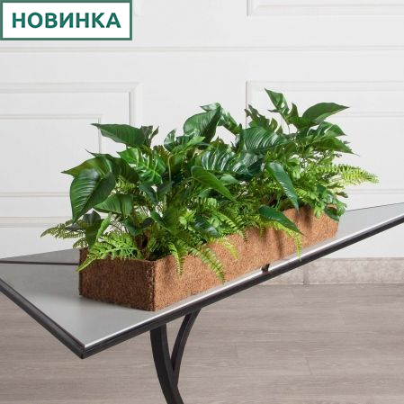 КН353/ЭК(F) Композиция зеленый микс с папоротником и монстерой в кокосовом боксе 75*20*10
