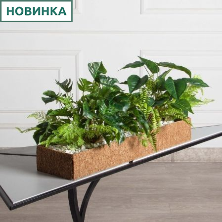 КН353/ЭкПЗ(F) Композиция зеленый микс с папоротником и монстерой в кокосовом боксе 75*20*10