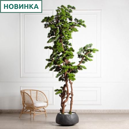 БС300/ОС/30(з)(УУ)(Пр)(F) Бонсай искусственный Сосна h300см d130см