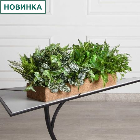 КН377/СТ(F) Композиция искусственная зеленый микс с Аукубой (латекс) в кокосовом боксе 75х20х10см
