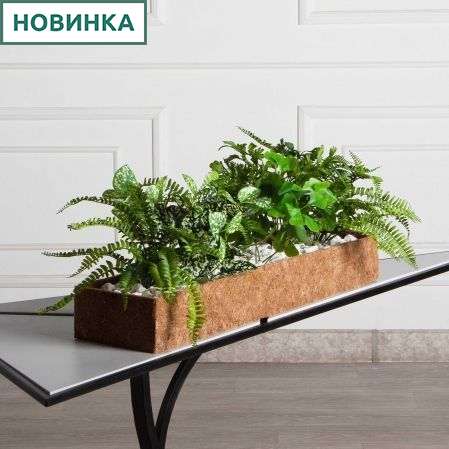 КН377/ЭкПЗ(F) Композиция искусственная зеленый микс с Аукубой (латекс) в кокосовом боксе 75х20х10см