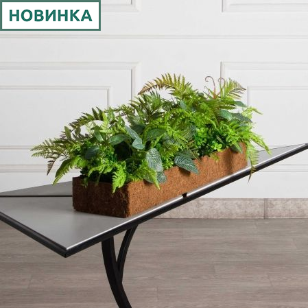 КН489/СТ(Пр)(F) Композиция искусственная микс папоротник с фиттонией в кокосовом боксе 75х20х10см