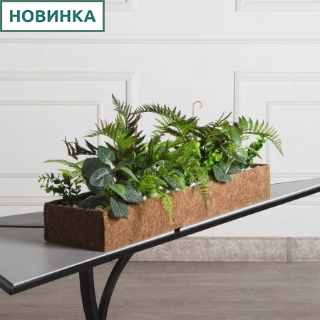 КН489/ЭкПЗ(Пр)(F) Композиция искусственная микс папоротник с фиттонией в кокосовом боксе 75х20х10см