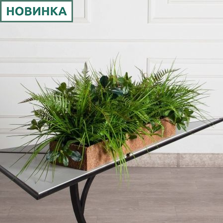 КН317/СТ(Пр)(F) Композиция искусственная папоротник большой с травой в кокосовом боксе 75х20х10см