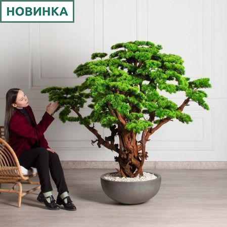 БС160/ОС/3000-1(Пр)(F) Бонсай искусственный Сосна h160см