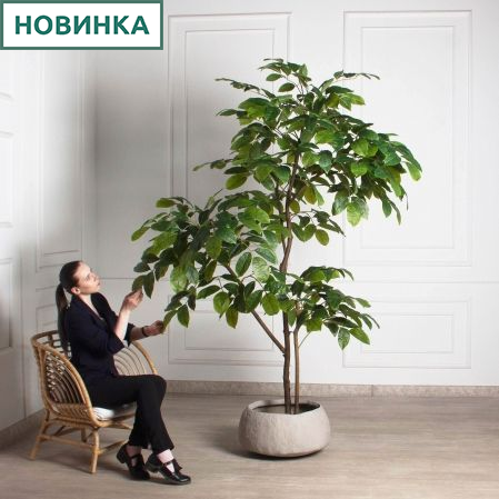 240/РН/АСС/618(Пр)(F) Магнолия искусственная h240см