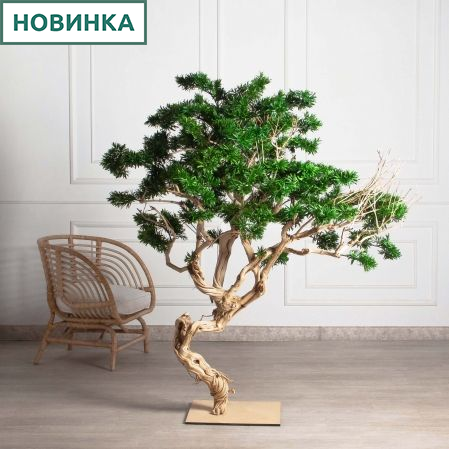 БЛ160/Д3/241(з)(F) Бонсай искусственный Подокарпус h160см d60-100см на основании