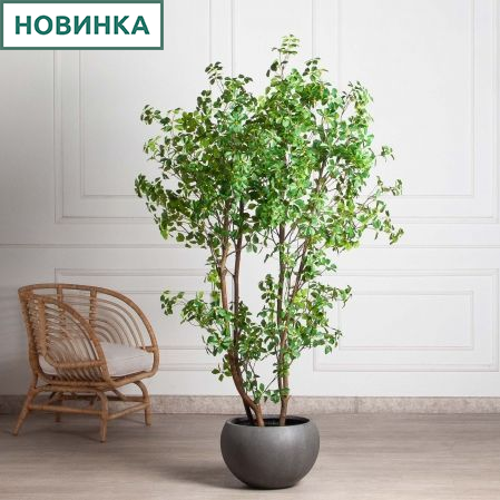 190/РН/ОК/534-1(з)(F) Шеффлера искусственная Компакта h190см d100см в кашпо, латекс