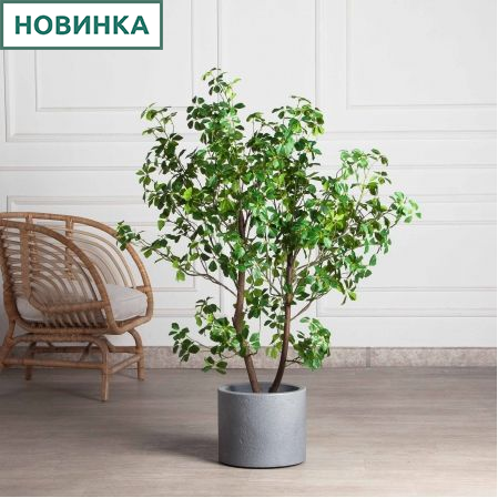 120/РН/ОК/534(з)(F) Шеффлера искусственная Компакта h120см d60см в кашпо, латекс