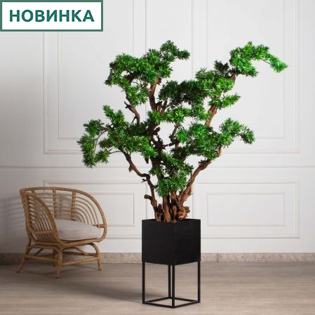 150/ОС/241(з)(F) Подокарпус искусственный пристенный  h150см d80-100см