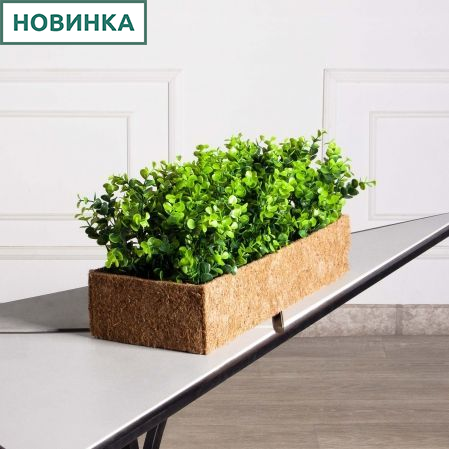 БН009СТ(Пр)(F) Самшит искусственный Эвкалипт в кокосовом боксе 50х20х10см
