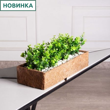 БН009ЭкПЗ(Пр)(F) Самшит искусственный Эвкалипт в кокосовом боксе 50х20х10см