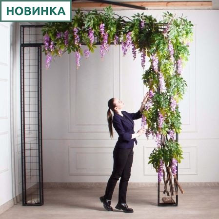 ДЛ163(з)(F) Декор входной группы с глицинией h270см (шир 880см)