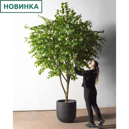 270/РН/34(з)(Пр)(F) Фикус искусственный h270см,d230см, латекс