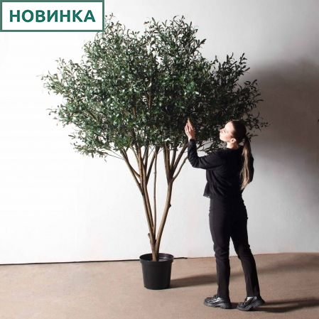 260/О/465(з)(Пр)(F) Оливковое дерево искусственное c плодами h260см