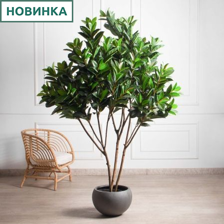 240/К/418(з)(Пр)(F) Фикус искусственный Эластика  h240см, латекс