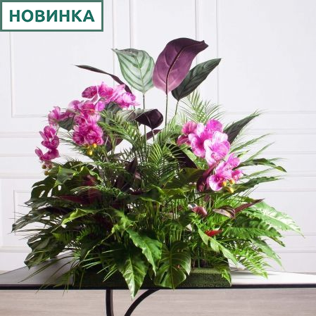 К515/1-1(з)(Пр)(F) Композиция искусственная с калатеей и пальмой на основании