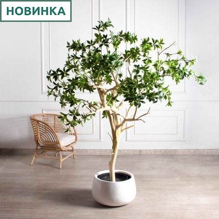 200/ДА/526(з)(F) Бересклет искусственный h200 d160см в кашпо d33 h24,5см, латекс
