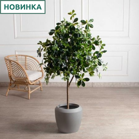 150/РН/84-2(з)(F) Шеффлера искусственная h150см