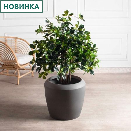 120/РН/84-2(з)(Пр)(F) Шеффлера искусственная h120см