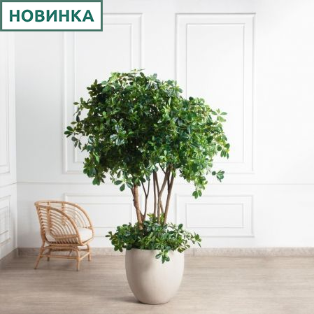 180/РН/84(з)(Пр)(F) Шеффлера искусственная h180см d160см с подкустником