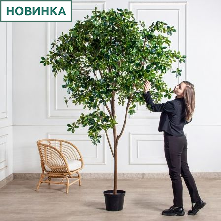 250/РН/АСС/84-1(з)(Пр)(F) Шеффлера искусственная h250см (латекс)