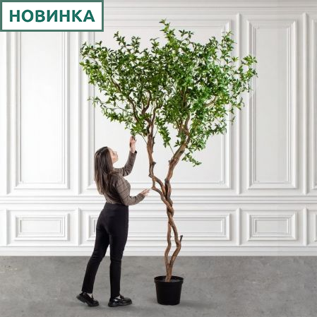 300/ВИТ/АСС/526(з)(F) Бересклет искусственный h300 д150см 300/ВИТ/АСС/526(з)(F) Бересклет искусственный h300 д150см