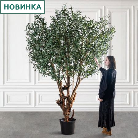 240/ОС/РН/АСС/465(з)(F) Оливковое дерево искусственное с плодами h240 d160см 240/ОС/РН/АСС/465(з)(F) Оливковое дерево искусственное с плодами h240 d160см
