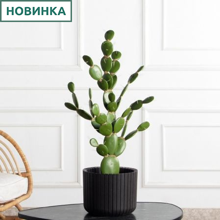 КА02-3(з)(F) Кактус искусственный Опунция h70 д50см КА02-3(з)(F) Кактус искусственный Опунция h70 д50см