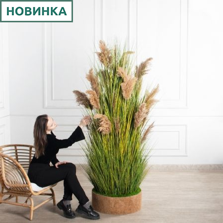 К351-6(з)(F) Трава Осока искусственная h200см в кокосовом боксе d60 h10см с мхом