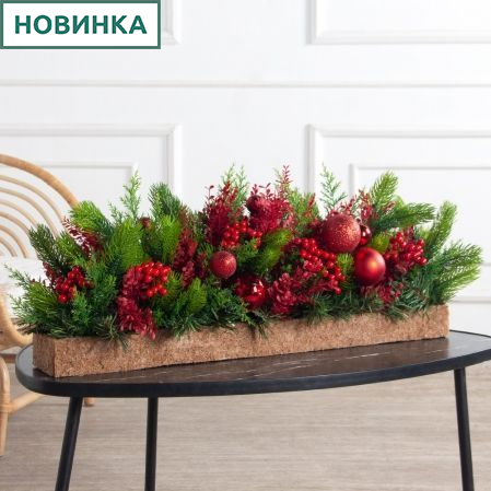 КНг53-1(з)(F)(Чп) Композиция НГ красно-зелен. h-27см в кокосовом боксе 67х10х5см КНг53-1(з)(F)(Чп) Композиция НГ красно-зелен. h-27см в кокосовом боксе 67х10х5см