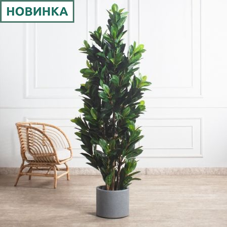 180/К/418-1(Пр)(F) Фикус Эластика Робуста искусственный h180см 180/К/418-1(Пр)(F) Фикус Эластика Робуста искусственный h180см