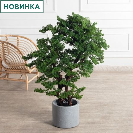 БС110/ОС/427(Пр)(F) Бонсай искусственный Сосна h110см БС110/ОС/427(Пр)(F) Бонсай искусственный Сосна h110см