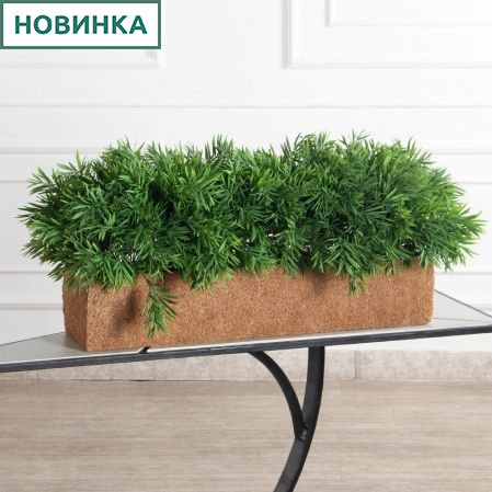 060/К/512-3(з)(F) Погонатерум искусственный h40см  в кок.боксе 78х18х15см