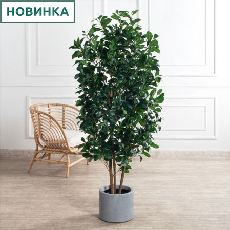 170/РН/64-1(з)(F) Рускус искусственный куст h170см