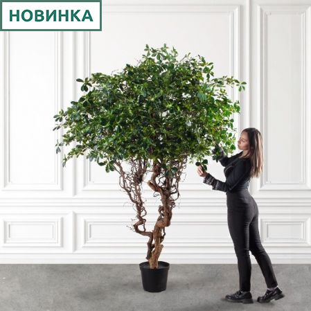 240/ДД/5344(з)(F) Шеффлера искусственная h240см d180(латекс) 240/ДД/5344(з)(F) Шеффлера искусственная h240см d180(латекс)