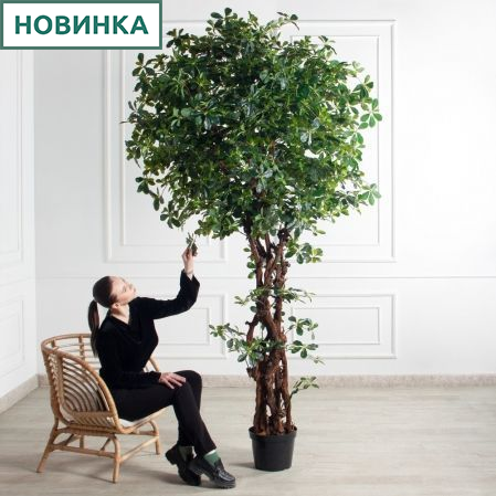 260/ОС/84(з)(F) Шеффлера искусственная h260см d130см (латекс)