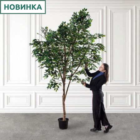 300/РН/34(Пр)(F) Фикус искусственный h300см (латекс) 300/РН/34(Пр)(F) Фикус искусственный h300см (латекс)