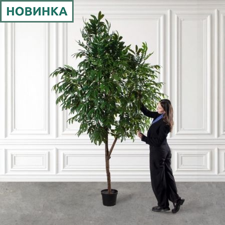 300/РН/220(Пр)(F) Манго искусственное h300см (латекс)