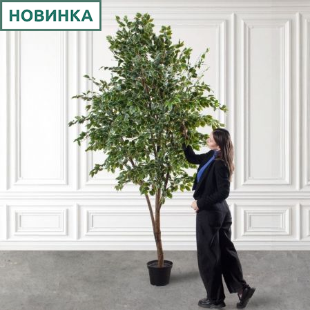 300/РН/17(Пр)(F) Фикус Бенджамина искусственный h300см (латекс) 300/РН/17(Пр)(F) Фикус Бенджамина искусственный h300см (латекс)